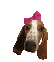 Friday Night Party Sticker