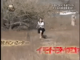 japan running GIF