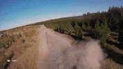 sideways GIF by FIA World Rally Championship