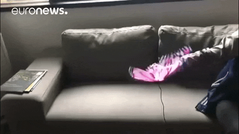 butterfly hologram GIF by euronews