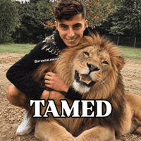 Memeinsiders GIF by memes