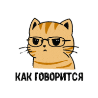 Cat Sticker