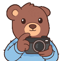 Photography Smile Sticker by BEARISH
