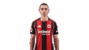 Eintracht Frankfurt Football Sticker by Bundesliga