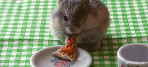 Pizza Eating GIF