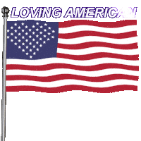 4Th Of July Love Sticker by Oleg Jones