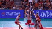 Power Smash GIF by Volleyball World
