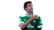 no problem football Sticker by SV Werder Bremen