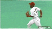 GIF by MLB