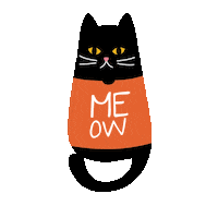 ontis cat cats kitty meow Sticker