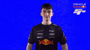 Red Bull Sr GIF by Oracle Red Bull Racing