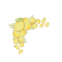 Vitamin C Lemon Sticker by Pixi Beauty