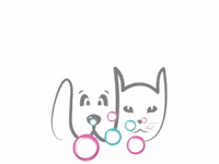 Cats Dogs GIF by Grooming Paws&All