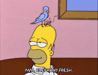 grooming homer simpson GIF