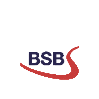 Bsb Sticker by Belgium Rugby