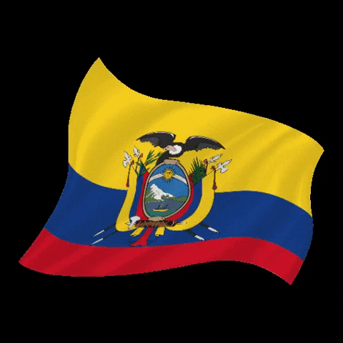 bsmartec giphyupload smile ecuador orgullo GIF