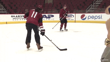 Arizona Coyotes GIF by Arizona Cardinals