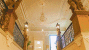 AAU_StudentCouncil  GIF
