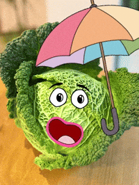 Rain Regen GIF