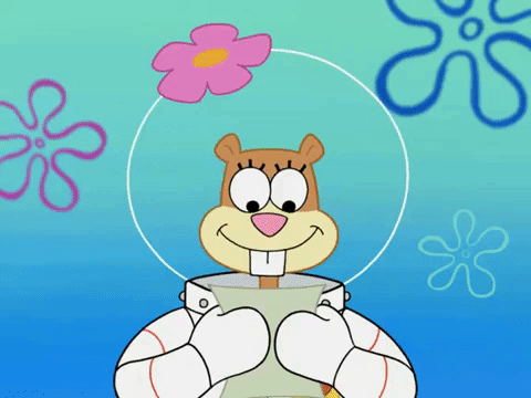 season 7 the play's the thing GIF by SpongeBob SquarePants