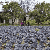 See You Later Running GIF by TRT