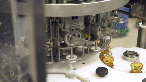 EDWinnipeg giphyupload honey econdev honey production GIF
