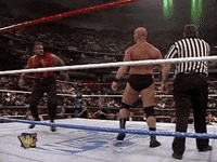 watch out oops GIF by WWE