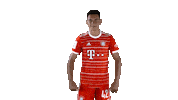Football Soccer Sticker by FC Bayern Munich