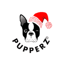 pupperzau boston terrier santa paws pupperz pupperzau Sticker