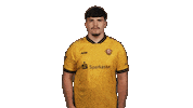 Dynamo Dresden Football Sticker by Bundesliga