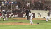 GIF by MLB