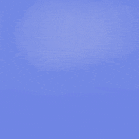 PurpleMooseSockCo moose purplemoosesocks mooselow GIF