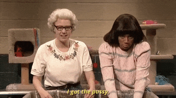 kate mckinnon i got the pussy GIF by Saturday Night Live