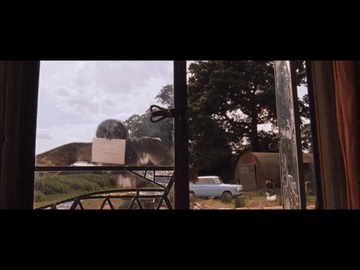jasminesetsuna giphyupload GIF