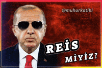 Rte Reis GIF