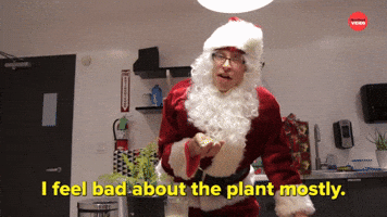 That Plant Is Going To Die