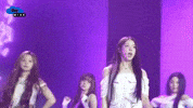 Taiwan Taipei GIF