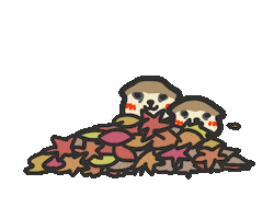 Meerkat Sticker by yomoyeah