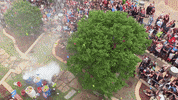 TAMUScience water science education explosion GIF