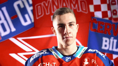 Robin Kaplan GIF by HC Dynamo Pardubice