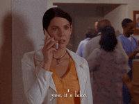 season 5 netflix GIF by Gilmore Girls 
