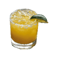 CoastalKitchen cocktail margarita coastalkitchen verdekitchen Sticker