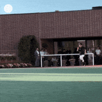 Run Whr GIF by World Horse Racing