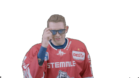 Hockey Family Sticker by Eisbären Regensburg