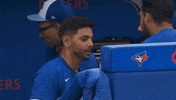 Blue Jays Hug GIF by Toronto Blue Jays