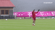 meister GIF by FC Bayern Munich