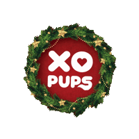 Christmas Holiday Sticker by XO PUPS
