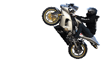 Kawasaki Sticker by WheelieTime