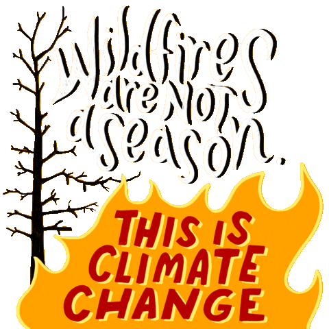 Climate Change Fire Sticker by INTO ACTION