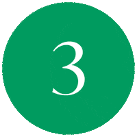 palmersofficial countdown 3 2 1 palmers marina hoermanseder Sticker